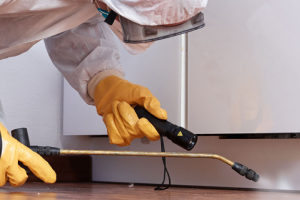 Messie Schädlingsbekämpfung Menden (sauerland)